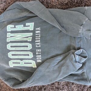 Comfort Colors Crew Neck Sweater in Green